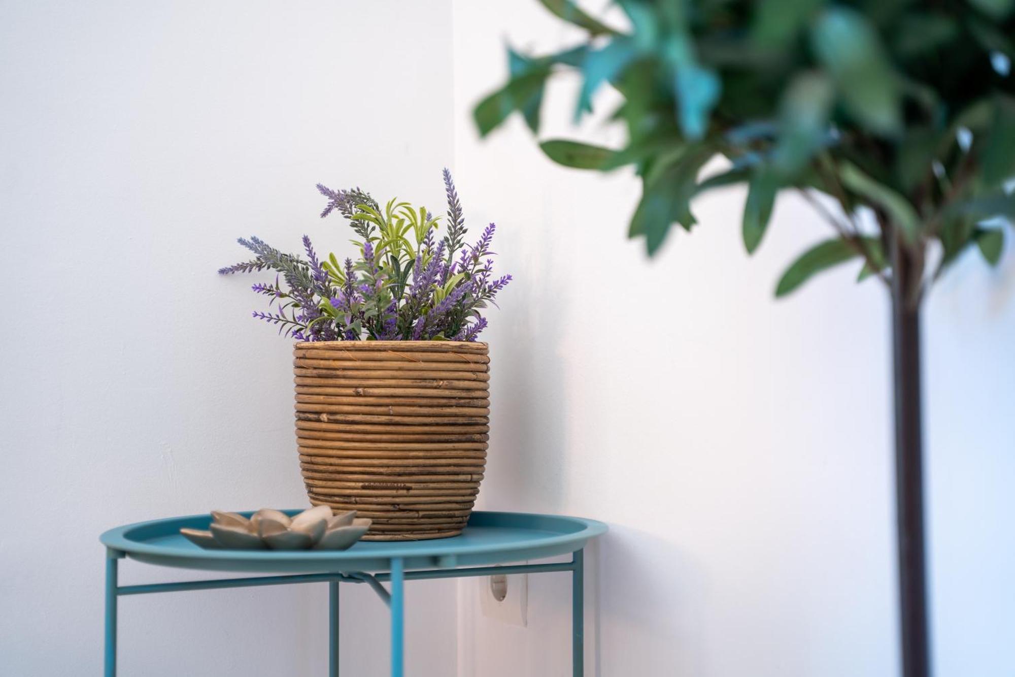 La Casita De Real De Cartuja Apartment Granada Ngoại thất bức ảnh
